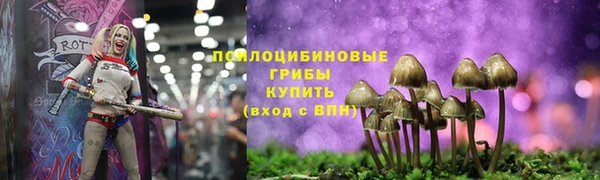 бошки Волоколамск