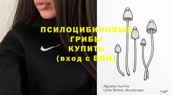 apvp Вязьма