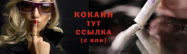 гидра Вязники