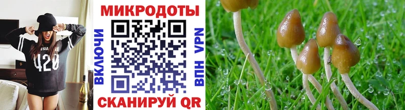 Псилоцибиновые грибы Cubensis  закладки  omg ССЫЛКА  Вилюйск 
